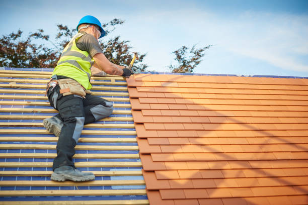Best Flat Roofing  in Town N Country, FL